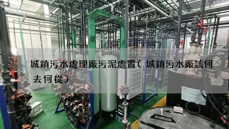 城鎮污水處理廠污泥處置(城鎮污水廠該何去何從)